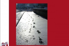 lustrum2010_pinkenbiest-44